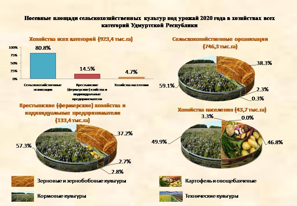 Посевная площадь в сельском хозяйстве. Посевные площади сельскохозяйственных культур. Площадь посевных площадей. Структура посевных площадей 2020. Структура посевных площадей технических культур.